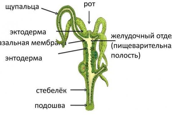 Onion сайт кракен